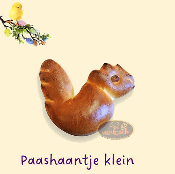 Afbeelding van paashaantje klein