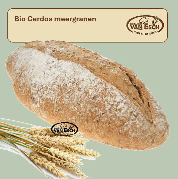Afbeelding van bio cardos meergranen