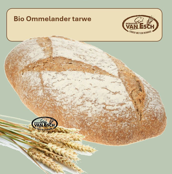 Afbeelding van bio ommelander tarwe