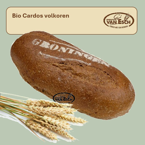 Afbeelding van bio cardos volkoren