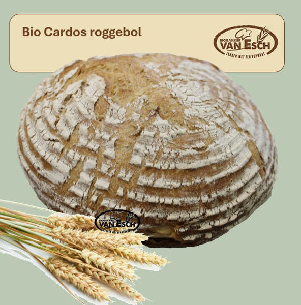 Afbeelding van bio cardos roggebol