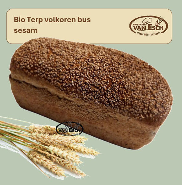 Afbeelding van bio terp volkoren bus sesam