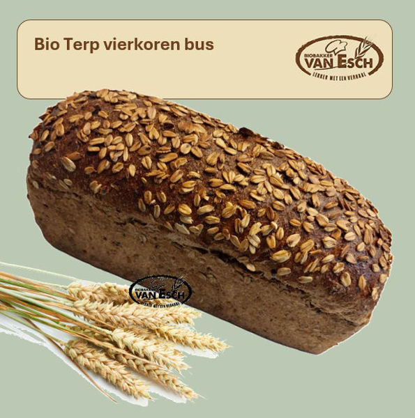 Afbeelding van bio terp vierkoren bus