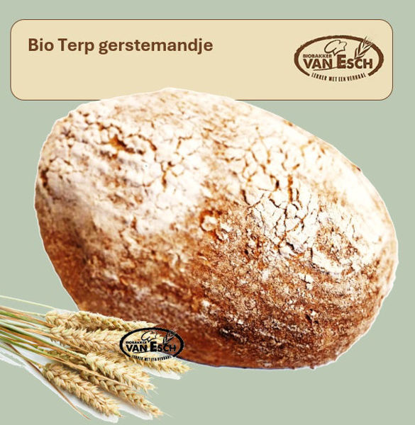 Afbeelding van bio terp gerstemandje