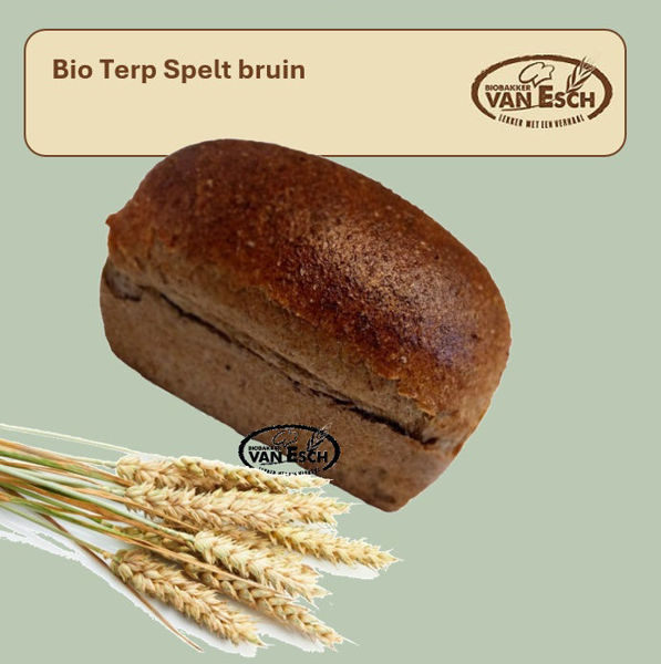 Afbeelding van bio terp spelt bruin