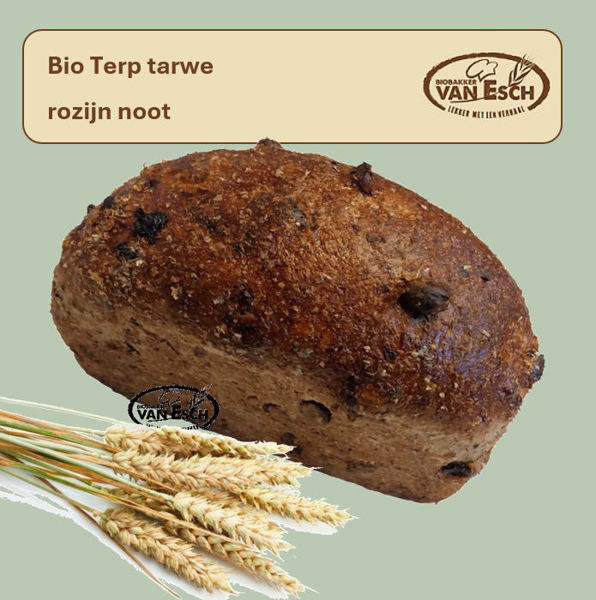 Afbeelding van bio terp tarwe rozijn noot