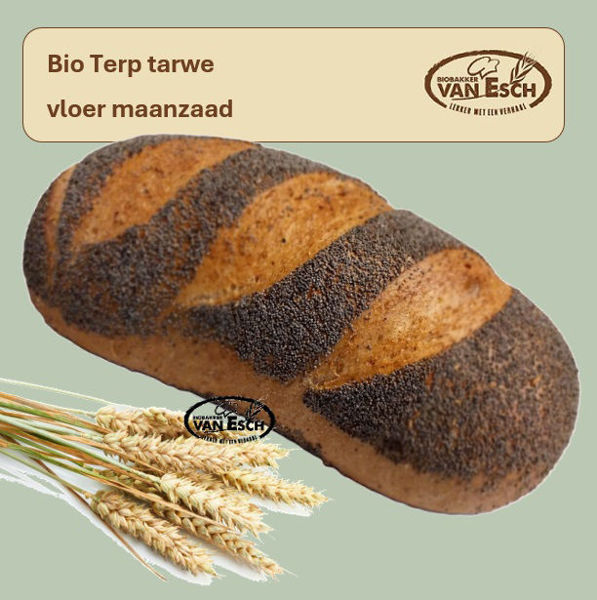 Afbeelding van bio terp tarwe vloer maanzaad