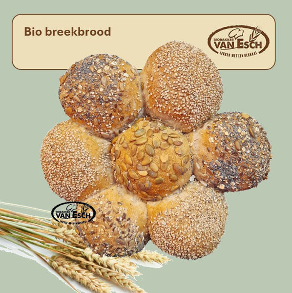 Afbeelding van bio desem breekbrood