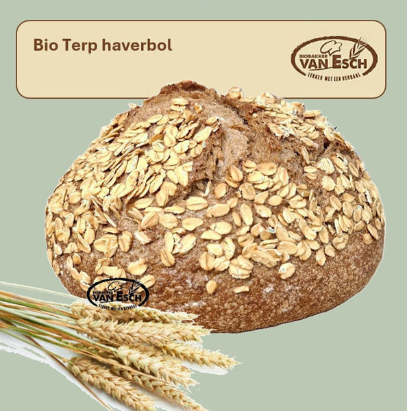 Afbeelding van bio terp haverbol