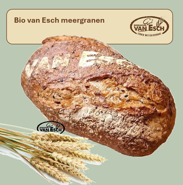 Afbeelding van bio van Esch meergranen
